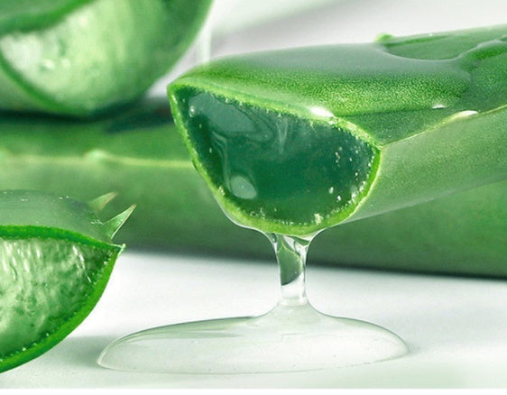 Crème Visage Hydratante à l’Aloe Vera